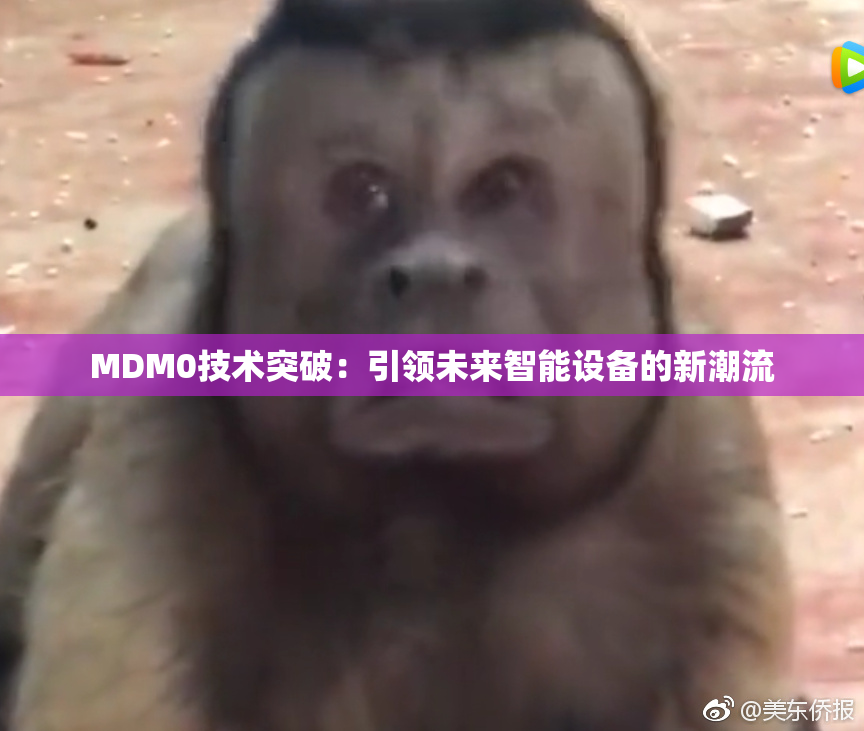 MDM0技术突破：引领未来智能设备的新潮流