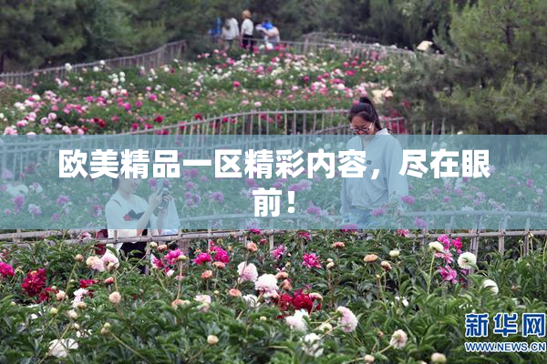 欧美精品一区精彩内容，尽在眼前！