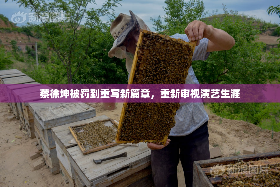 蔡徐坤被罚到重写新篇章，重新审视演艺生涯