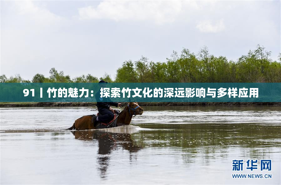 91丨竹的魅力：探索竹文化的深远影响与多样应用