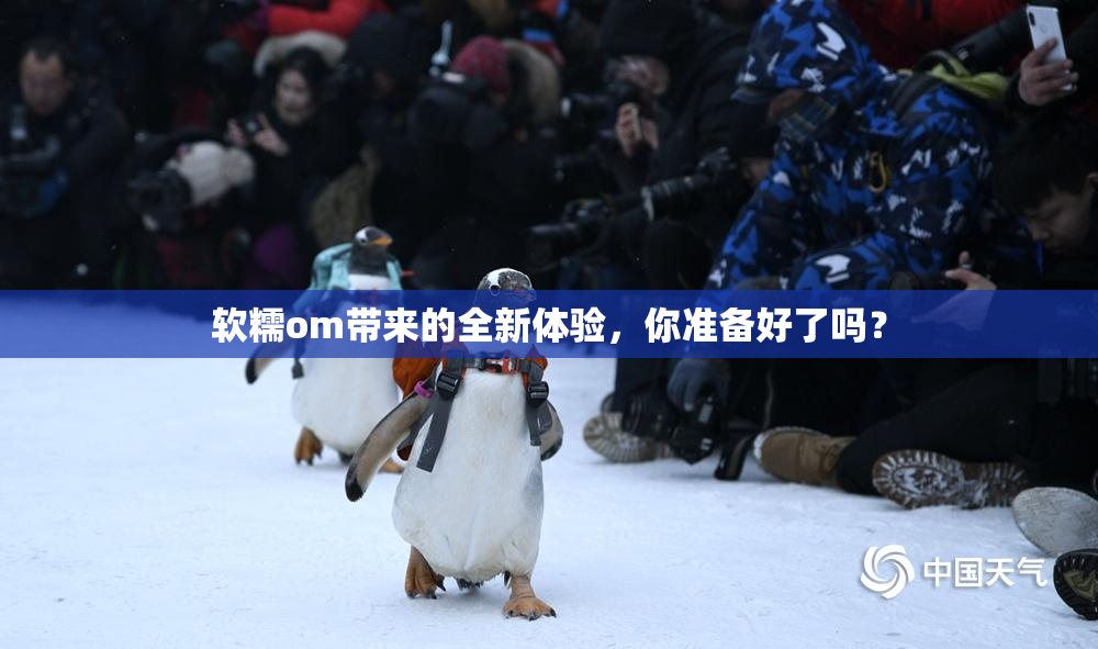 软糯om带来的全新体验，你准备好了吗？