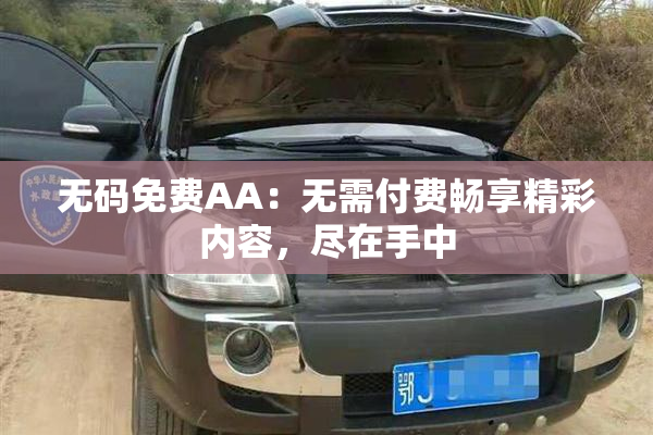 无码免费AA：无需付费畅享精彩内容，尽在手中