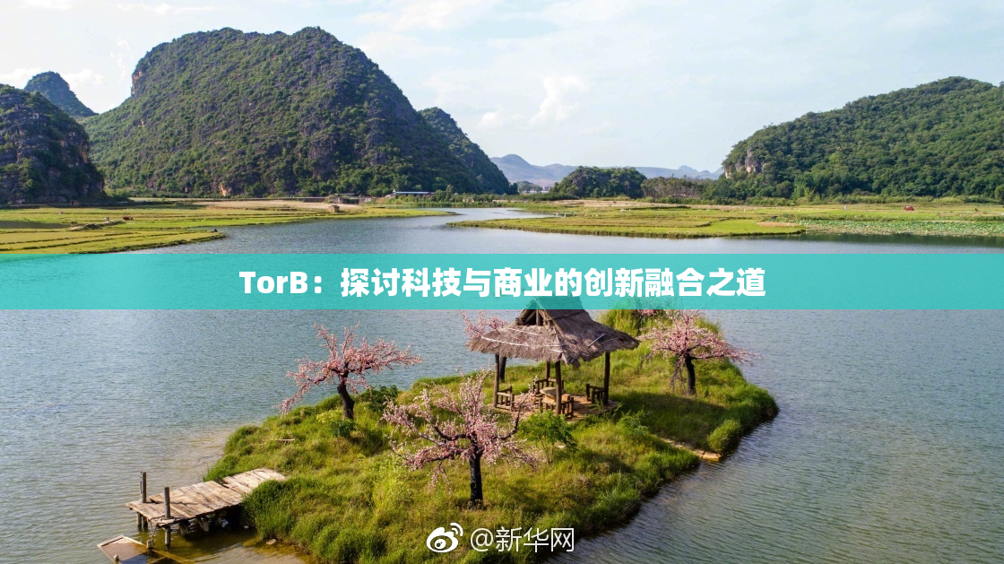 TorB：探讨科技与商业的创新融合之道
