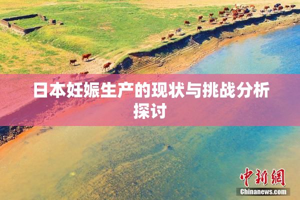日本妊娠生产的现状与挑战分析探讨