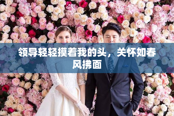 领导轻轻摸着我的头，关怀如春风拂面