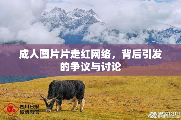 成人图片片走红网络，背后引发的争议与讨论