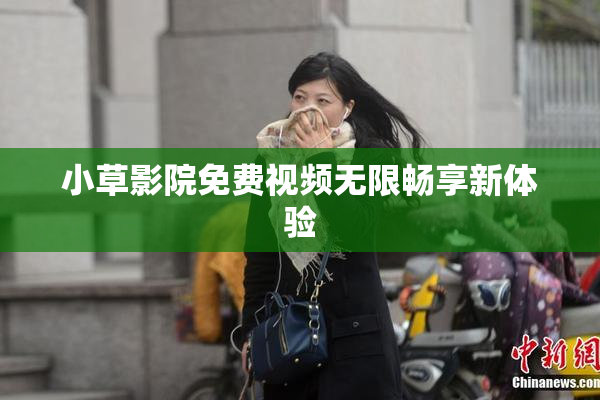 小草影院免费视频无限畅享新体验