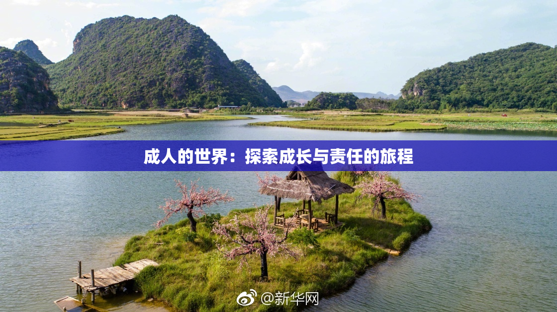 成人的世界：探索成长与责任的旅程