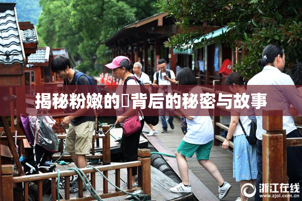 揭秘粉嫩的泬背后的秘密与故事