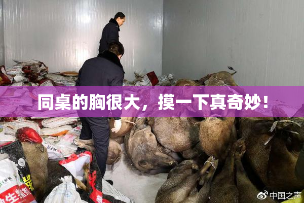 同桌的胸很大，摸一下真奇妙！