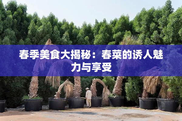 春季美食大揭秘：春菜的诱人魅力与享受