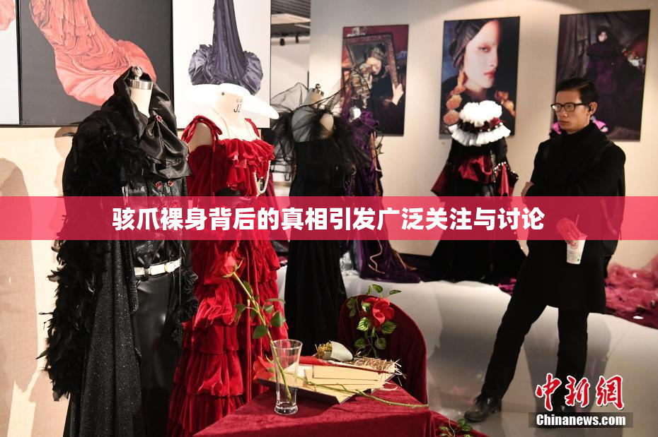 骇爪裸身背后的真相引发广泛关注与讨论