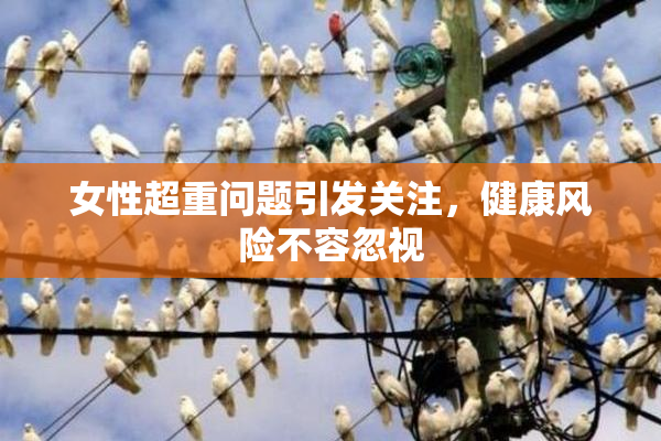 女性超重问题引发关注，健康风险不容忽视