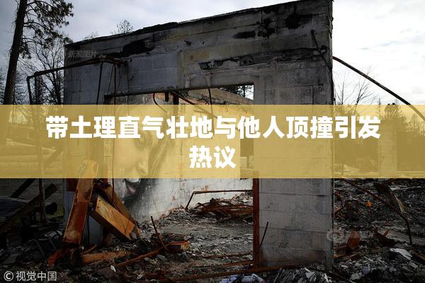 带土理直气壮地与他人顶撞引发热议