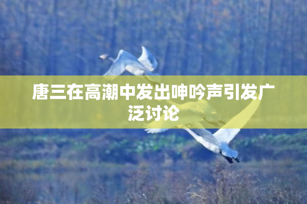 唐三在高潮中发出呻吟声引发广泛讨论