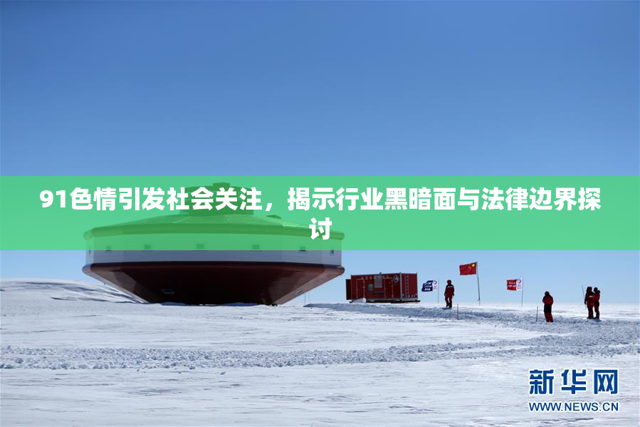 91色情引发社会关注，揭示行业黑暗面与法律边界探讨