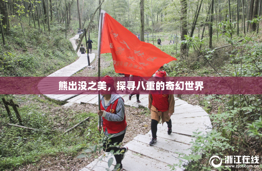 熊出没之美，探寻八重的奇幻世界