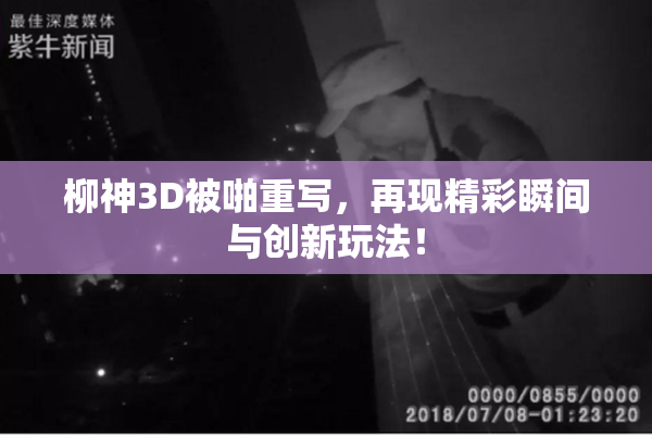柳神3D被啪重写，再现精彩瞬间与创新玩法！