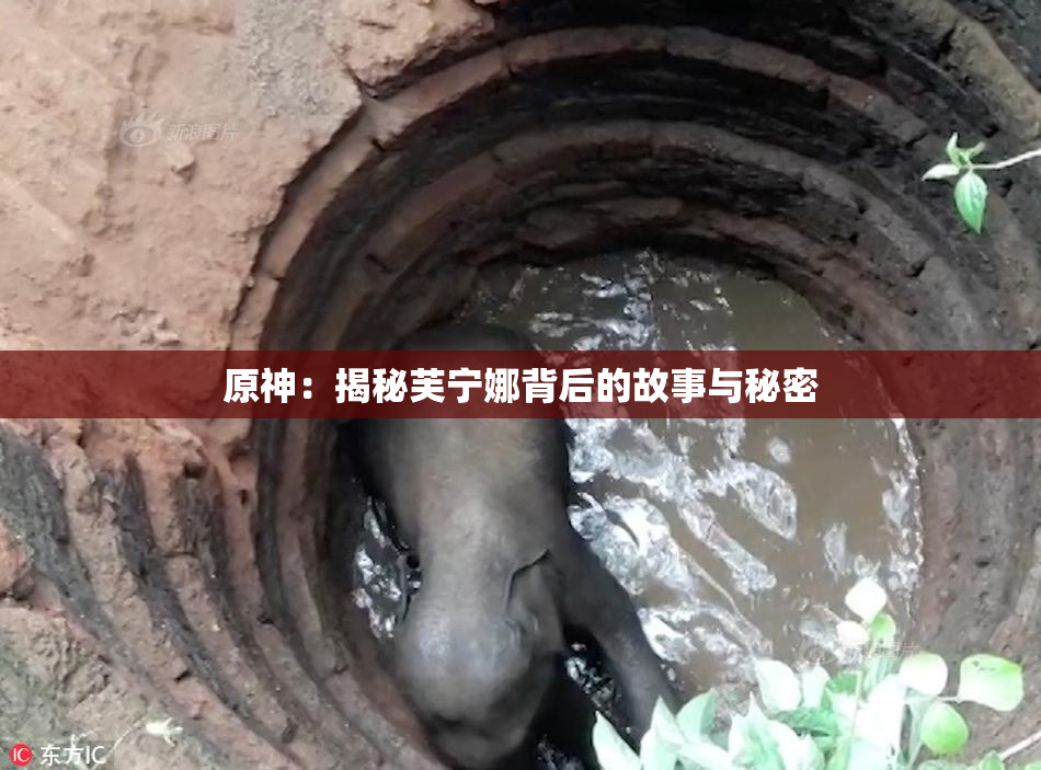 原神：揭秘芙宁娜背后的故事与秘密
