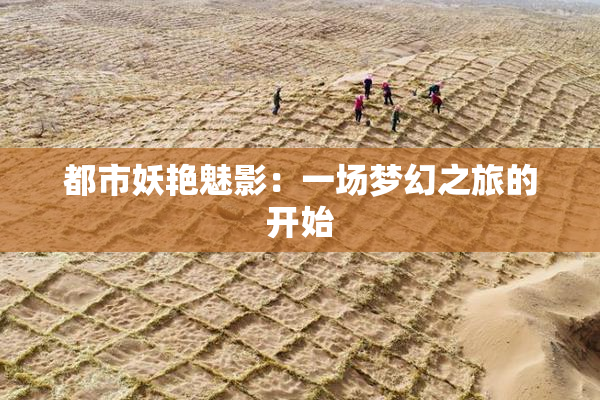 都市妖艳魅影：一场梦幻之旅的开始