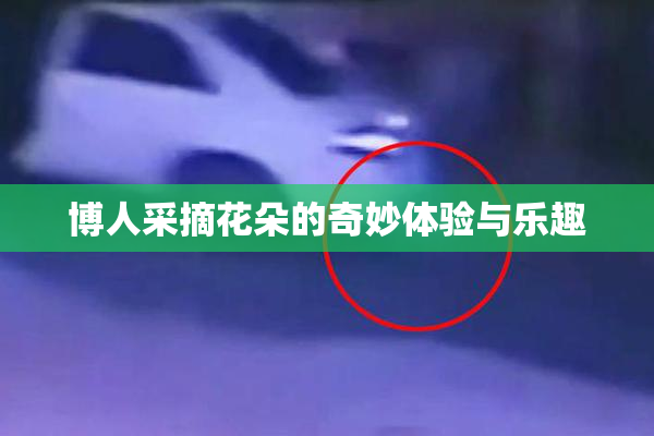 博人采摘花朵的奇妙体验与乐趣