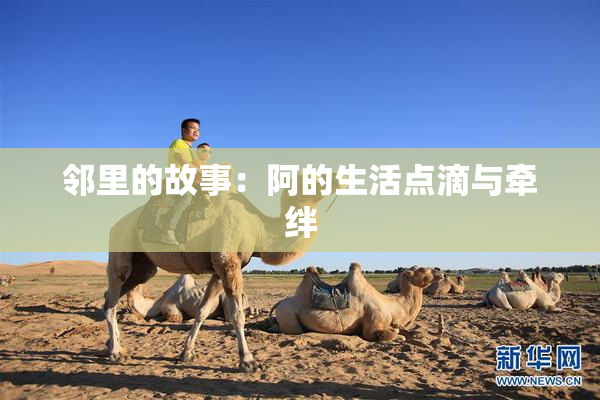 邻里的故事：阿的生活点滴与牵绊