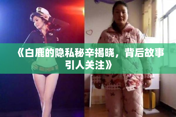《白鹿的隐私秘辛揭晓，背后故事引人关注》