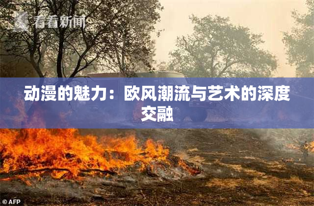 动漫的魅力：欧风潮流与艺术的深度交融