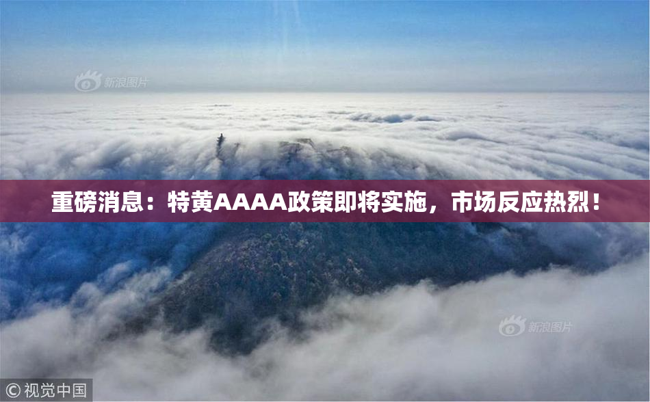 重磅消息：特黄AAAA政策即将实施，市场反应热烈！
