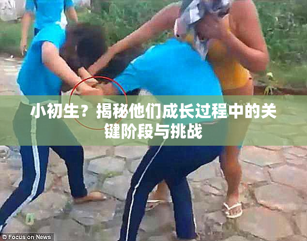 小初生？揭秘他们成长过程中的关键阶段与挑战