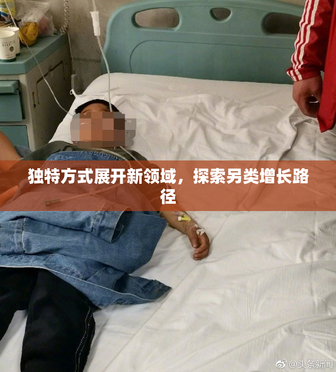 独特方式展开新领域，探索另类增长路径