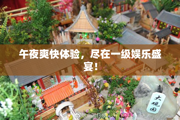 午夜爽快体验，尽在一级娱乐盛宴！