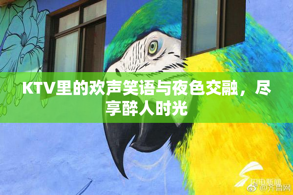 KTV里的欢声笑语与夜色交融，尽享醉人时光