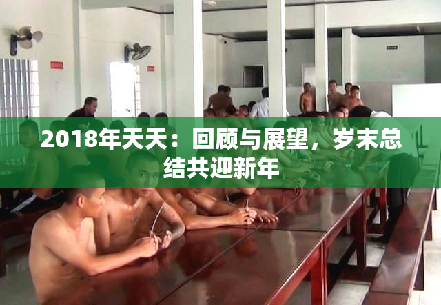 2018年天天：回顾与展望，岁末总结共迎新年