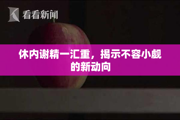 休内谢精一汇重，揭示不容小觑的新动向