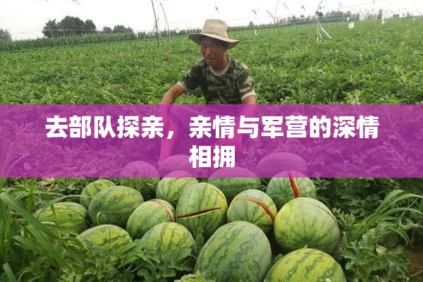 去部队探亲，亲情与军营的深情相拥
