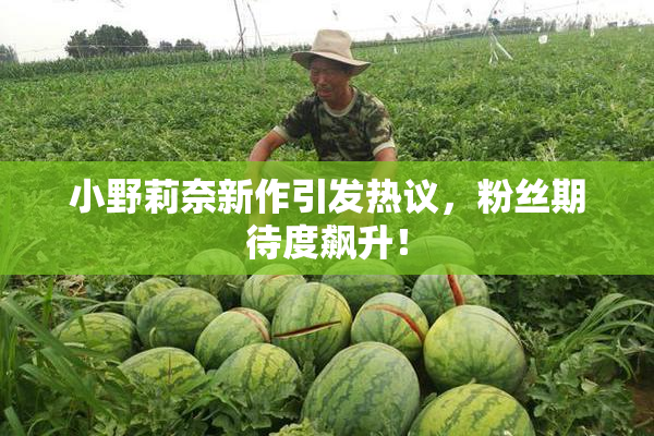 小野莉奈新作引发热议，粉丝期待度飙升！