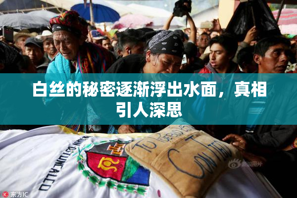 白丝的秘密逐渐浮出水面，真相引人深思