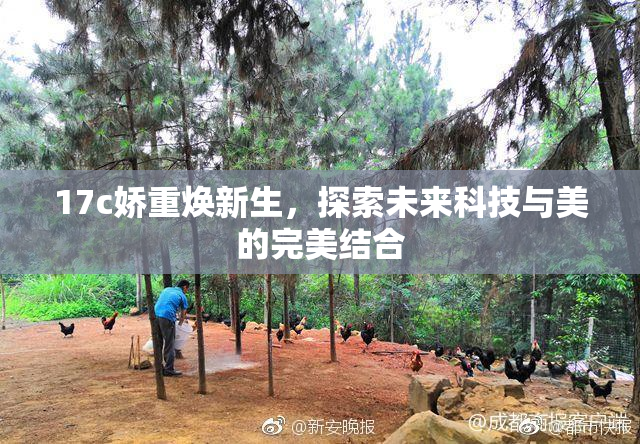 17c娇重焕新生，探索未来科技与美的完美结合