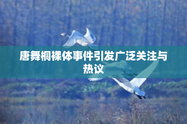 唐舞桐裸体事件引发广泛关注与热议