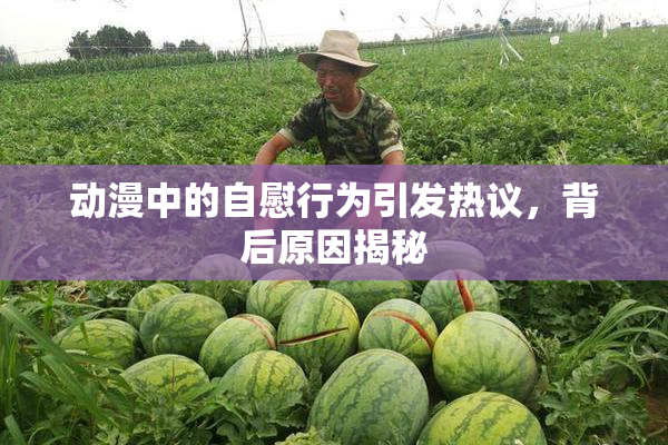 动漫中的自慰行为引发热议，背后原因揭秘