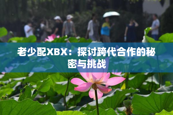 老少配XBX：探讨跨代合作的秘密与挑战