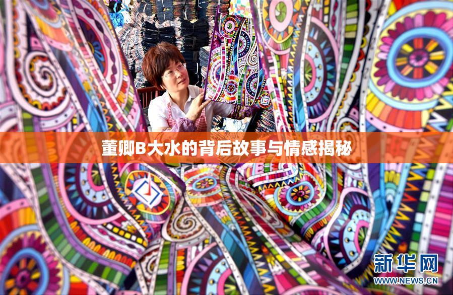 董卿B大水的背后故事与情感揭秘
