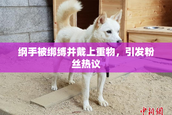 纲手被绑缚并戴上重物，引发粉丝热议