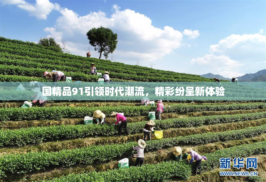 国精品91引领时代潮流，精彩纷呈新体验
