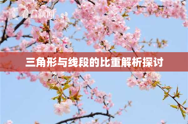 三角形与线段的比重解析探讨
