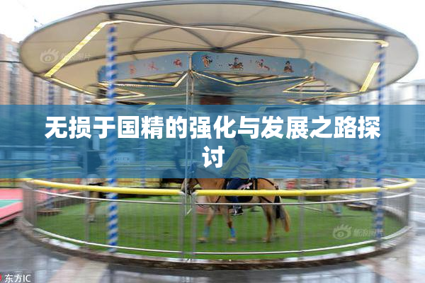 无损于国精的强化与发展之路探讨