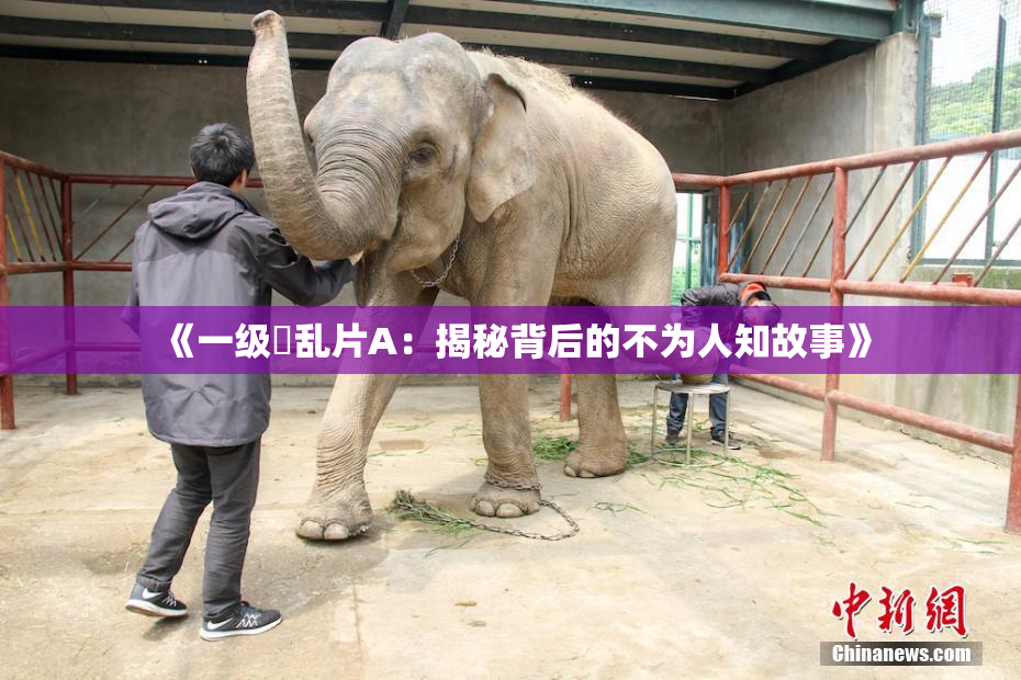 《一级婬乱片A：揭秘背后的不为人知故事》