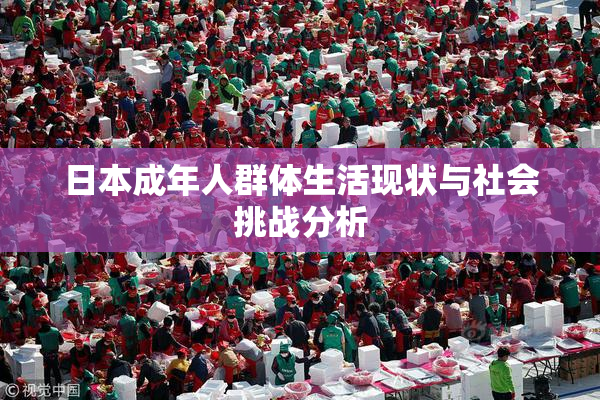 日本成年人群体生活现状与社会挑战分析