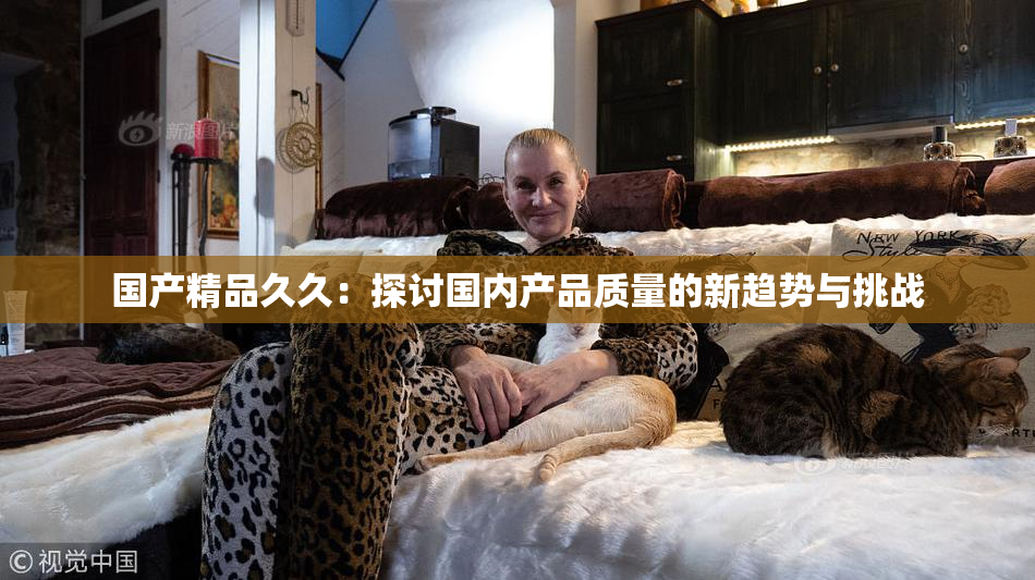 国产精品久久：探讨国内产品质量的新趋势与挑战